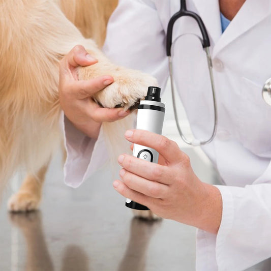 Electric Dog Nail Grinder with 2 LED Lights Pet Nail Trimmer Cat Nail Grinder Suitable for Small Middle Large Dogs and Cats