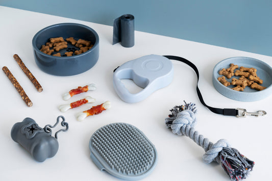 5 Must-Have Dog Accessories Every Pet Parent Needs in 2025