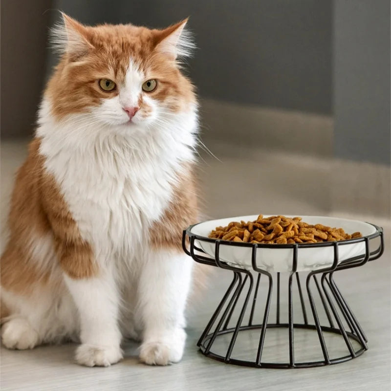 Ceramic For Dog Cat Puppy Kitten Elevated Cat Feeder Drinker Pet Feeder Bowl Pet Supplies Cat Food Bowl Water Feeder Container