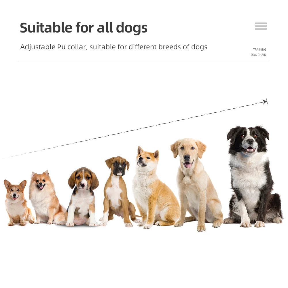 Electric Dog Training Collar Rechargeable Anti Barking Shock Vibration Collar Waterproof Trainer for All Dogs Pet with Clicker