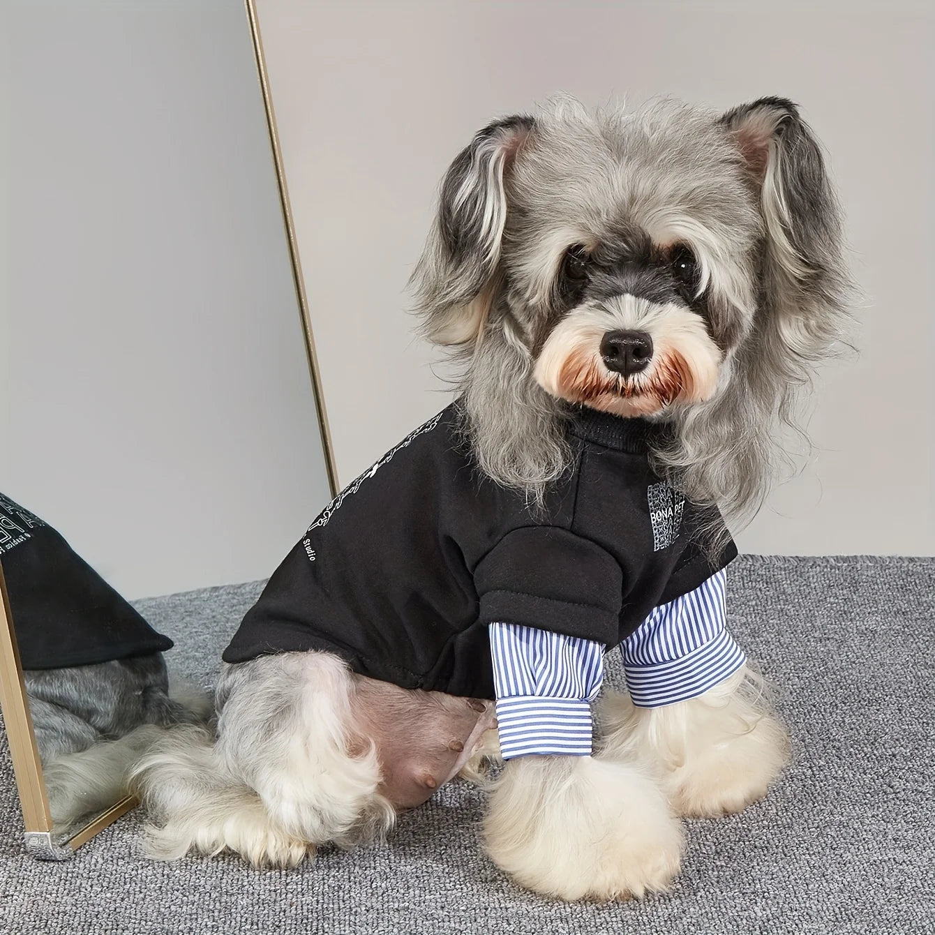Fashion Pet Hoodie T-shirt Winter Warm Dog Coat Warm Comfortable Pullover Dog Clothes
