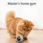 Interactive Smart Cat Toy Colorful LED Self Rotating Pet Ball Toys USB Rechargeable Kitten Automatic Ball Toys Cat Accessories