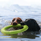 1PC Large Dog Interactive TPR Toy - Durable Floating Ring Pulling Dog Ring for Teeth Grinding And Interactive Play