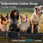 3300 Feet Pet Dog Training Collar IP67 Waterproof with Sound, Shock, Vibration, Functions LCD Color Digital Display Screen