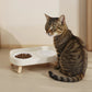 Double Pet Bowl No Spill Food Water Feeder with Stand Neck Support for Cats Dogs Anti Knock Anti Slip Elevated Design